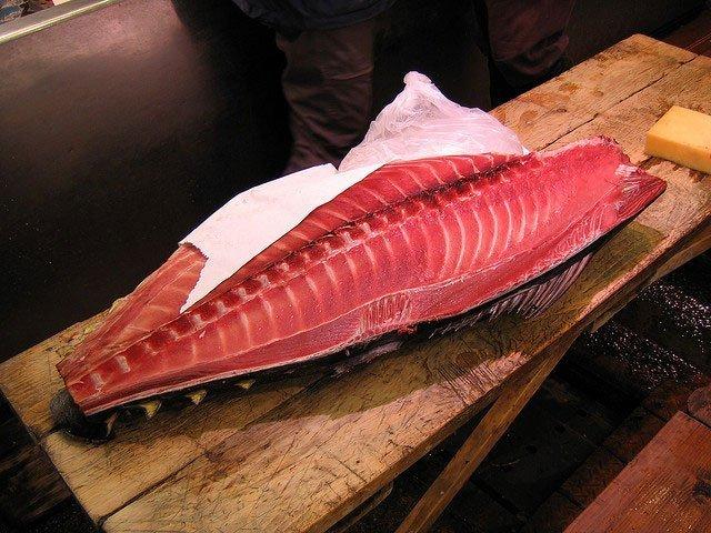 Cách sơ chế chuẩn cho cá ngừ đại dương