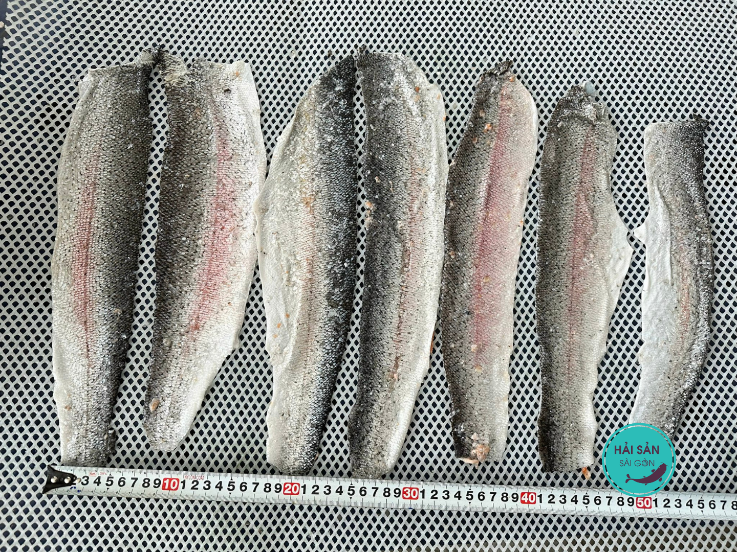 Báo giá da cá hồi Nauy