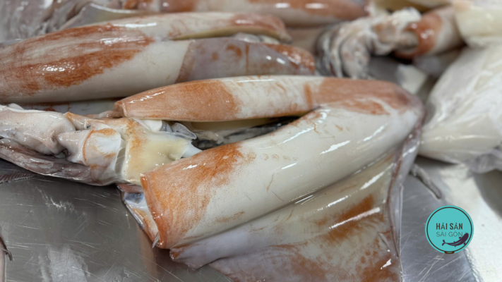 Mực lá khổng lồ tươi