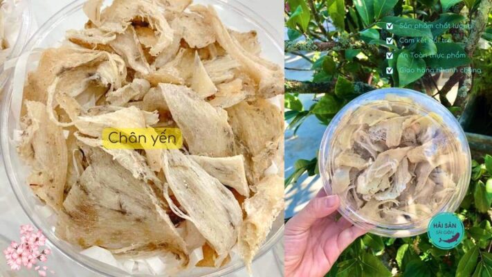 Cách bảo quản chân yến sào được lâu