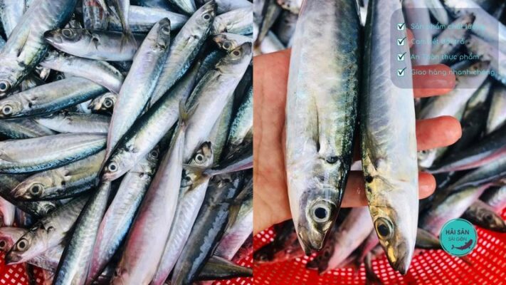 Cách bảo quản cá nục tươi được lâu