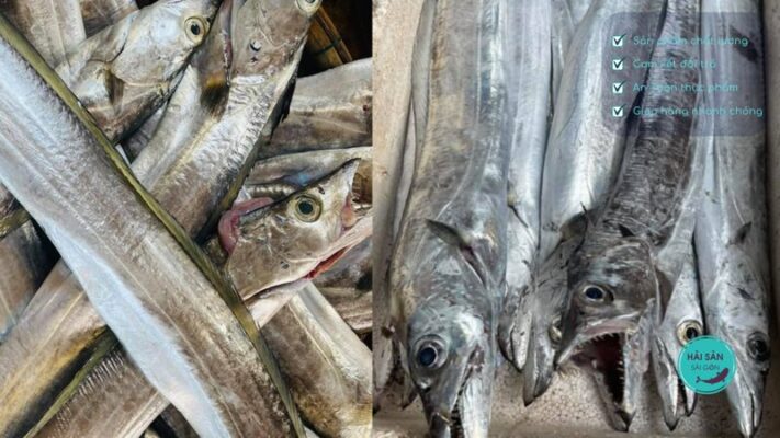 Cách bảo quản cá hố biển được lâu