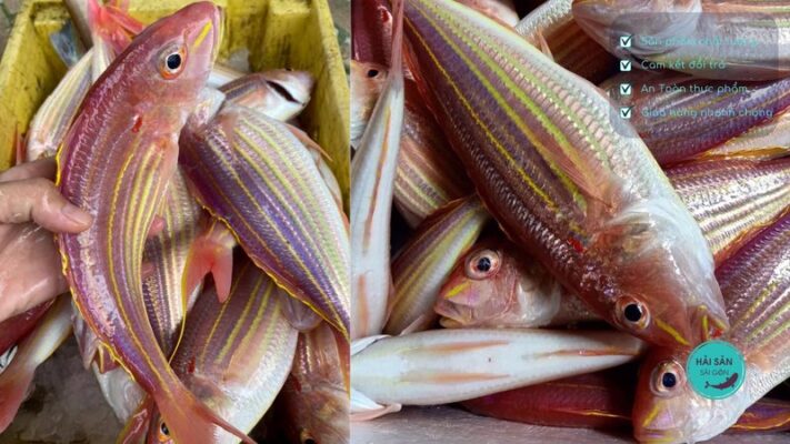 Cách bảo quản cá đổng cờ được lâu