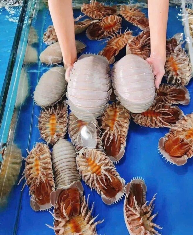 Hải sản Sài Gòn